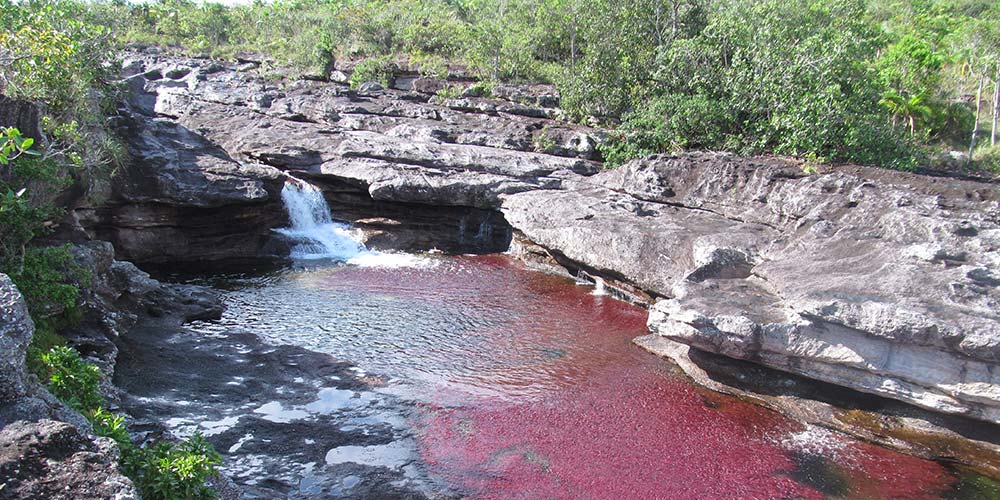 Rio_Cano_Cristales_Colombia