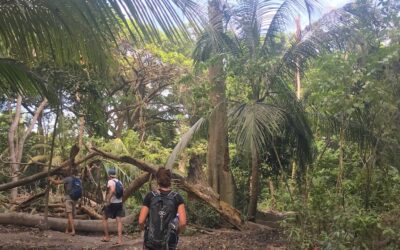 Wandelingen Tayrona National Park